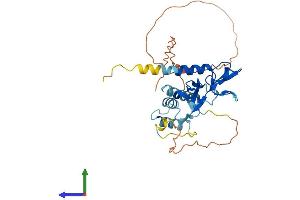 AlphaFold protein structure predicition of Mouse Recombinant Dppa2 Protein, UniprotID Q9CWH0