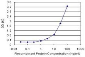 Sandwich ELISA detection sensitivity ranging from 1 ng/mL to 100 ng/mL. (MAGED1 (Humain) Matched Antibody Pair)