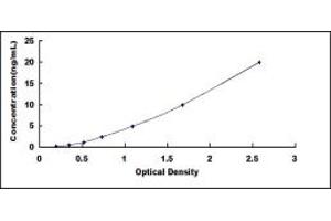 Typical standard curve (ADH3 Kit ELISA)