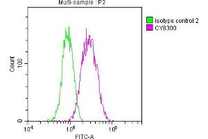 Overlay histogram showing A549 cells stained with ABIN7127330 (red line) at 1:50. (Recombinant AKR1C3 anticorps)
