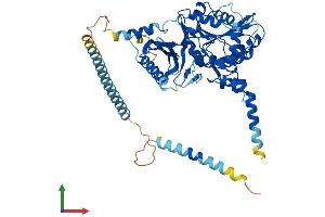 AlphaFold protein structure predicition of Mouse Recombinant Csgalnact2 Protein, UniprotID Q8C1F4