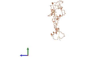 AlphaFold protein structure predicition of Human Recombinant KRTAP10-10 Protein, UniprotID P60014