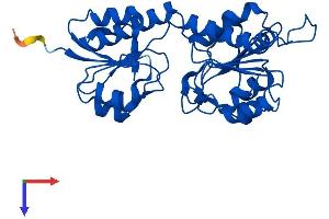 AlphaFold protein structure predicition of Mouse Recombinant Grhpr Protein, UniprotID Q91Z53