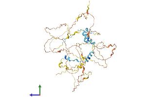 AlphaFold protein structure predicition of Mouse Recombinant Bora Protein, UniprotID Q8BS90