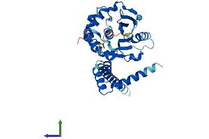 AlphaFold protein structure predicition of Human Recombinant UCHL5 Protein, UniprotID Q9Y5K5