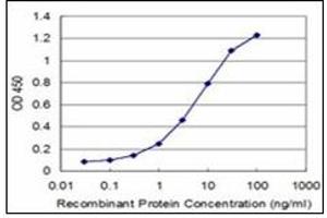 ELISA image for anti-NIMA (Never in Mitosis Gene A)-Related Kinase 2 (NEK2) (AA 331-445) antibody (ABIN781938)