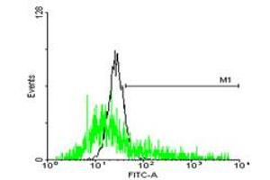 FACS analysis of negative control 293 cells (Black) and SSR2 expressing 293 cells (Green) using SSR2 purified MaxPab mouse polyclonal antibody.