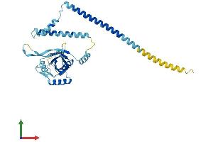 AlphaFold protein structure predicition of Human Recombinant PSMD7 Protein, UniprotID P51665