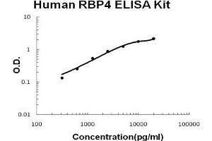 Human RBP4 PicoKine ELISA Kit standard curve