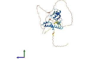 AlphaFold protein structure predicition of Human Recombinant IPCEF1 Protein, UniprotID Q8WWN9