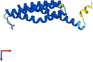 AlphaFold protein structure predicition of Human Recombinant MGST2 Protein, UniprotID Q99735