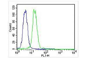 Overlay histogram showing K562 cells stained with (ABIN6242610 and ABIN6577131) (green line).