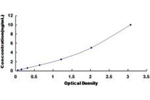 Typical standard curve (BCAR1 Kit ELISA)