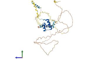 AlphaFold protein structure predicition of Mouse Recombinant En1 Protein, UniprotID P09065