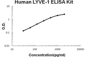 Human LYVE-1 Accusignal ELISA Kit Human LYVE-1 AccuSignal ELISA Kit standard curve. (LYVE1 Kit ELISA)