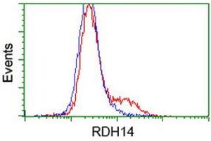 HEK293T cells transfected with either RC203411 overexpress plasmid (Red) or empty vector control plasmid (Blue) were immunostained by anti-RDH14 antibody (ABIN2454146), and then analyzed by flow cytometry. (RDH14 anticorps)