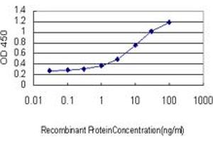 Detection limit for recombinant GST tagged SEC22L1 is approximately 0.