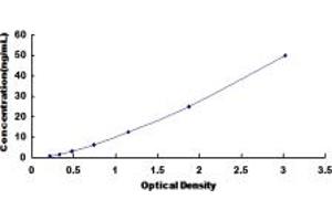 Typical standard curve (Adipsin Kit ELISA)