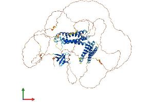 AlphaFold protein structure predicition of Human Recombinant CASS4 Protein, UniprotID Q9NQ75