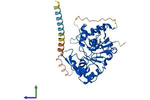 AlphaFold protein structure predicition of Mouse Recombinant St8sia2 Protein, UniprotID O35696