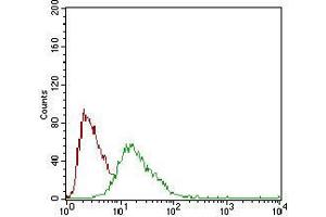 Flow cytometric analysis of HepG2 cells using SOX10 mouse mAb (green) and negative control (red). (SOX10 anticorps  (AA 147-252))