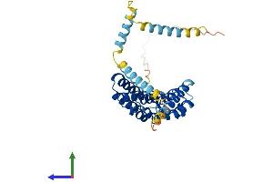 AlphaFold protein structure predicition of Mouse Recombinant Pex26 Protein, UniprotID Q8BGI5