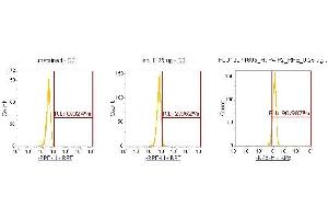 Flow Cytometry (FACS) image for anti-Poly Binding Protein Interacting Protein 2 (PAIP2) (AA 1-127) antibody (PE) (ABIN5568398)