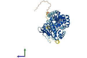 AlphaFold protein structure predicition of Mouse Recombinant Ehd4 Protein, UniprotID Q9EQP2