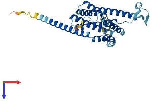 AlphaFold protein structure predicition of Human Recombinant FITM1 Protein, UniprotID A5D6W6