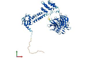 AlphaFold protein structure predicition of Mouse Recombinant Klhl3 Protein, UniprotID E0CZ16