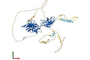 AlphaFold protein structure predicition of Mouse Recombinant Rela Protein, UniprotID Q04207