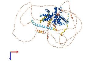 AlphaFold protein structure predicition of Mouse Recombinant Ccnt1 Protein, UniprotID Q9QWV9