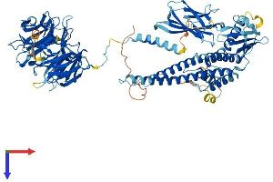 AlphaFold protein structure predicition of Mouse Recombinant Bbs9 Protein, UniprotID Q811G0
