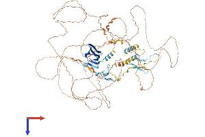 AlphaFold protein structure predicition of Mouse Recombinant Cenpc Protein, UniprotID P49452