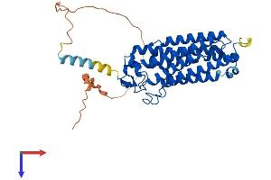 AlphaFold protein structure predicition of Human Recombinant ADIPOR2 Protein, UniprotID Q86V24