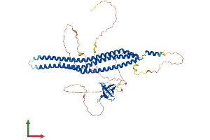 AlphaFold protein structure predicition of Human Recombinant BAIAP2 Protein, UniprotID Q9UQB8