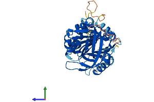AlphaFold protein structure predicition of Human Recombinant SERPINB4 Protein, UniprotID P48594