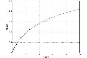 Apolipoprotein A-I Binding Protein (APOA1BP) ELISA Kit