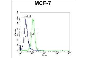 PSG7 Antibody (C-term) (ABIN651132 and ABIN2840089) flow cytometric analysis of MCF-7 cells (right histogram) compared to a negative control cell (left histogram).