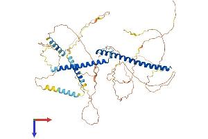 AlphaFold protein structure predicition of Human Recombinant TFE3 Protein, UniprotID P19532