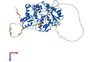 AlphaFold protein structure predicition of Mouse Recombinant Poll Protein, UniprotID Q9QXE2