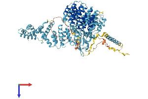 AlphaFold protein structure predicition of Mouse Recombinant Psmd1 Protein, UniprotID Q3TXS7