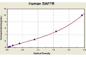 Diagramm of the ELISA kit to detect Human BAFFRwith the optical density on the x-axis and the concentration on the y-axis. (TNFRSF13C Kit ELISA)