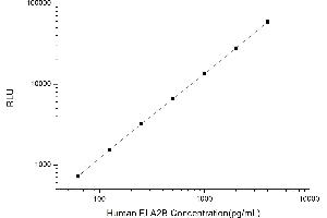Typical standard curve (ELA2B Kit CLIA)