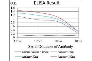 Black line: Control Antigen (100 ng), Purple line: Antigen(10 ng), Blue line: Antigen (50 ng), Red line: Antigen (100 ng), (EIF2A anticorps  (AA 448-576))
