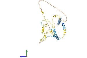 AlphaFold protein structure predicition of Human Recombinant MTFR1L Protein, UniprotID Q9H019