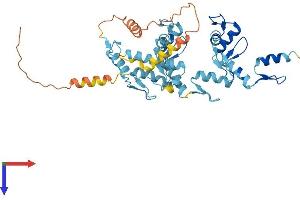 AlphaFold protein structure predicition of Human Recombinant ZNF557 Protein, UniprotID Q8N988