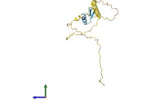 AlphaFold protein structure predicition of Mouse Recombinant Ripply1 Protein, UniprotID Q2WG77