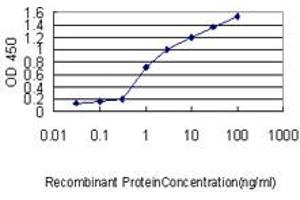 Detection limit for recombinant GST tagged DSU is approximately 0. (MREG anticorps  (AA 1-214))