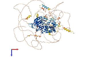 AlphaFold protein structure predicition of Mouse Recombinant Dennd2b Protein, UniprotID Q924W7